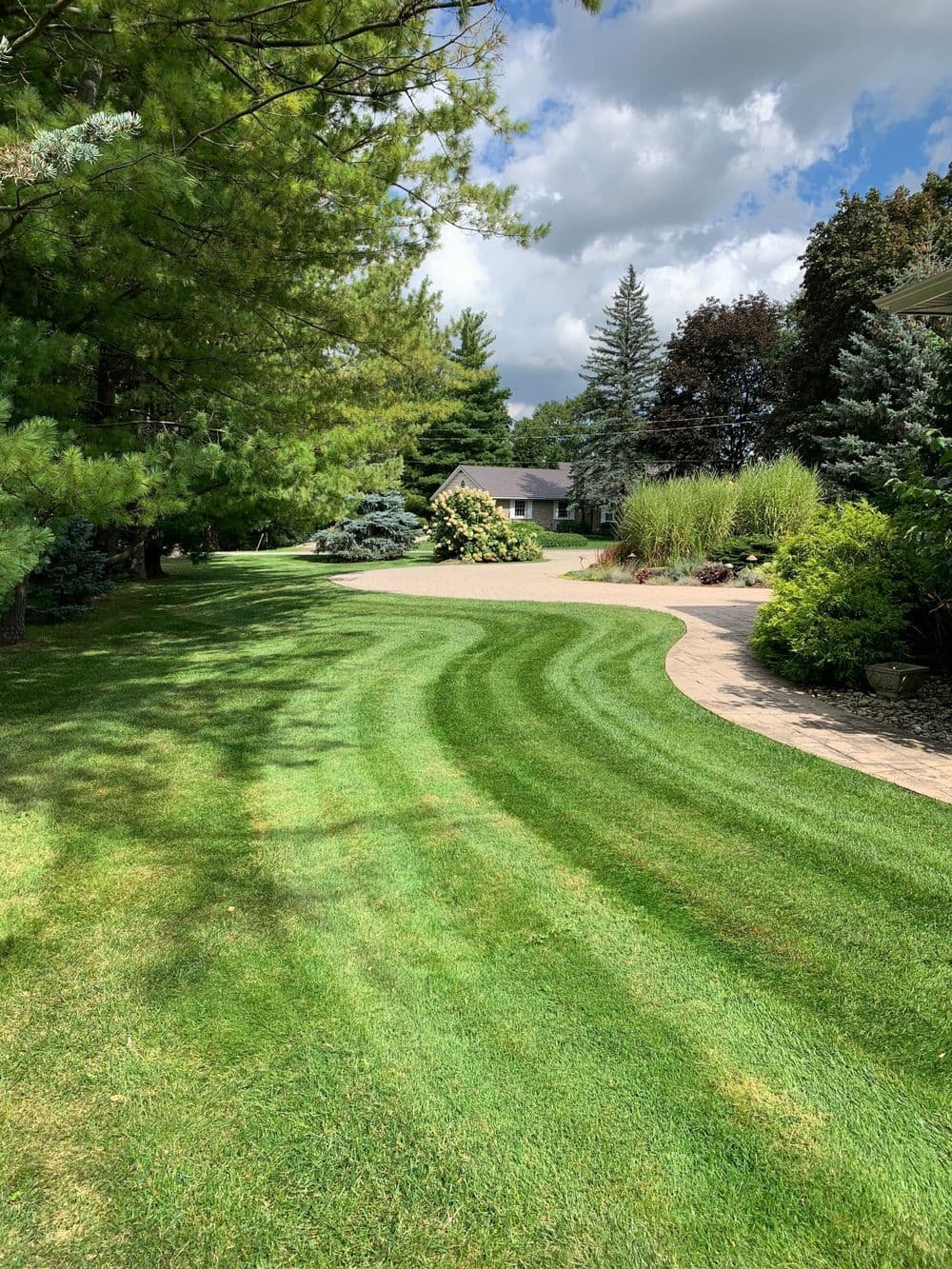 Stripe Life Canada